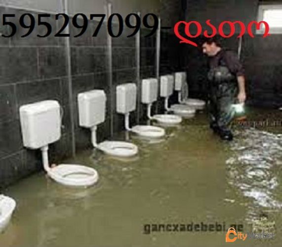 Service Image
